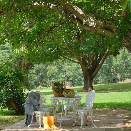 St Fort Farm Guesthouse Clarens Ngoại thất bức ảnh