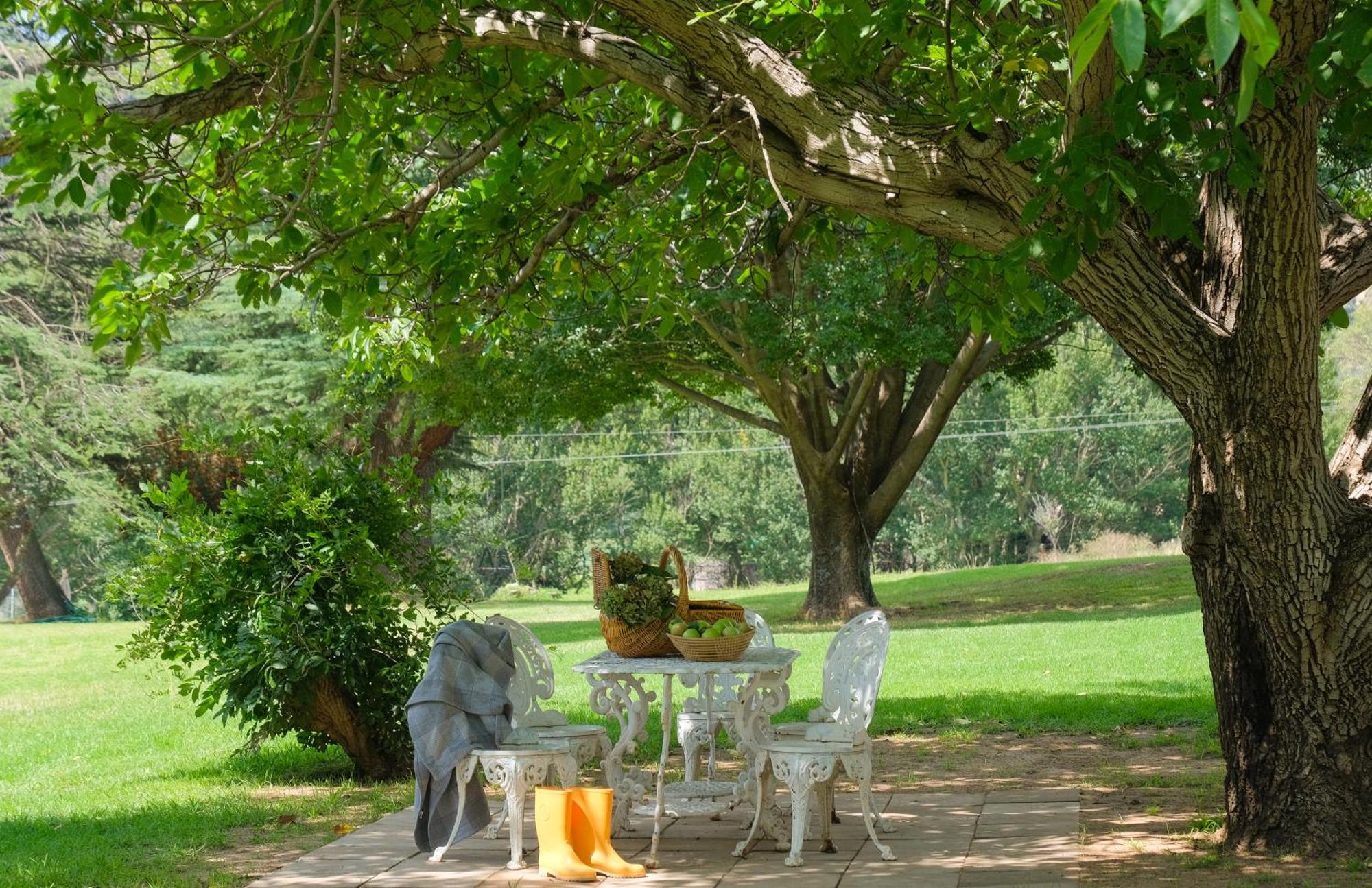 St Fort Farm Guesthouse Clarens Ngoại thất bức ảnh